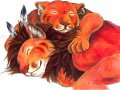 c_1232089857639_Seto_and_His_Mate_by_LadyJekyll.jpg